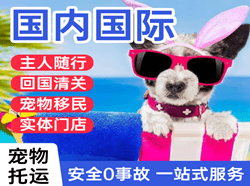 咸阳航空快运国际宠物托运 【国
